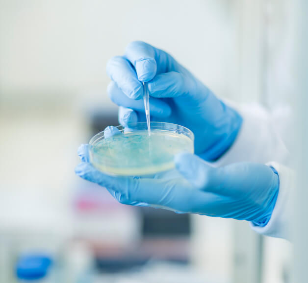 petri-dish